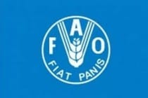ФАО: Мировые цены на кукурузу и мясо снизались, а на масло и сахар выросли