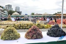 امامعلی رحمان: صادرات میوه و  سبزیجات تاجیکستان به روسیه باید 3 برابر افزون کرده شود