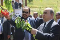 إبتهاج رئيس مجلس الشورى السعودى من بساتين طاجيكستان الباهرة