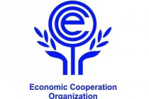 عقد الدورة ال 23 لمجلس وزراء الخارجية لمنظمة التعاون الاقتصادي فى دوشنبه
