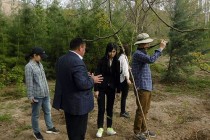 وفد دائرة الغابات الكورية يزور طاجيكستان