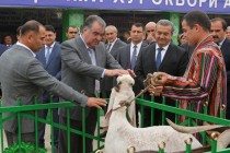 زيارة رئيس البلاد إمام على رحمان لمركز ” كيانوش” التجاري لناحية دنغره