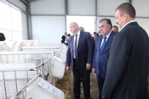 رئيس جمهورية طاجيكستان إمام علي رحمان يزور مصنع ” دزيرجينسكي” للزراعة فى بيلاروسيا