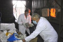 إحراق أكثر من نصف طن من المخدرات في محافظة صغد