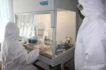 خبر عاجل: تسجيل 123 حالة إصابة جديدة بفيروس كورونا  في طاجيكستان