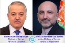 وزير الخارجية الطاجيكي والأفغاني يناقشان القضايا الإقليمية