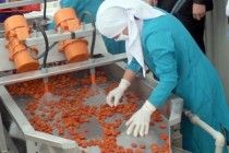 ارتفاع الصادرات الزراعية في طاجيكستان بنسبة 41.7٪
