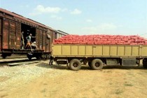 تصدير أكثر من 100،000 طن من المنتجات الزراعية من محافظة ختلان الطاجيكية