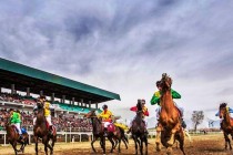 دوشنبه تستضيف سباقات الخيول اليوم تكريما لعيد نوروز الدولي