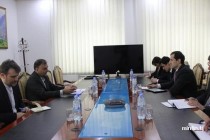نائب وزير المالية في طاجيكستان يجتمع مع نائب وزير الطاقة في جمهورية إيران الإسلامية