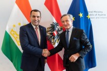 طاجيكستان والنمسا تعربان عن ارتياحهما للمستوى الرفيع للتعاون في إطار المنظمات الدولية