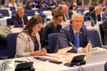حضور نواب محلس النواب الطاجبكي في جلسة الجمعية البرلمانية لمنظمة الأمن والتعاون في أوروبا