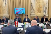 الاجتماع الثامن للجنة الحكومية المشتركة لطاجيكستان والنمسا حول التعاون الاقتصادي