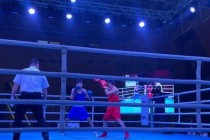 فاز الرياضيون الطاجيك بخمس ميداليات في مسابقة الملاكمة الدولية في كازاخستان