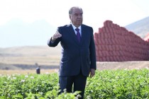 تدشين مشروع جديد لري الأراضي الزراعية في ديفاشتيج
