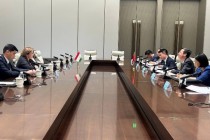 بحث التعاون الثنائي في مجال الطاقة بين طاجيكستان والصين في مدينة نينبو