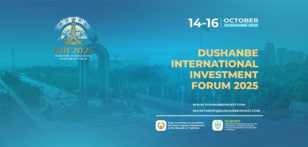DIIF-2025