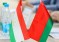 الاجتماع الافتراضي بين وفد مجموعة الصداقة والتعاون في مجلس النواب الطاجيكي ومجلس النواب في بيلاروس