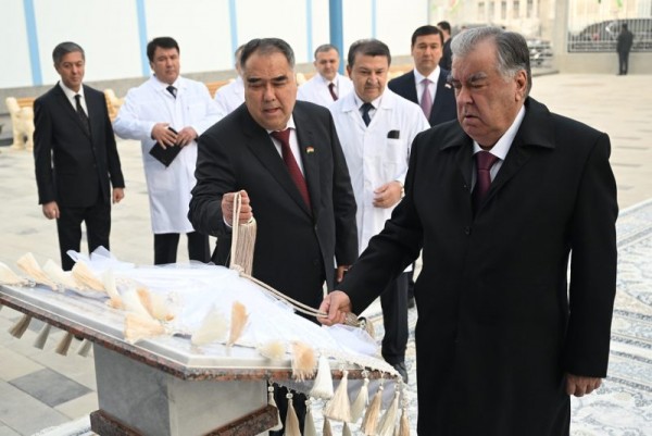 54931525819_9e5a135a1e_b