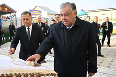 54933595408_8be510b1bb_m