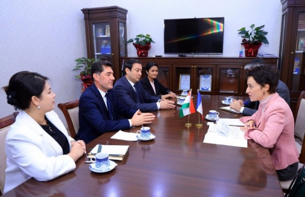 Vohuri-bo-Safiri-Faronsa-dar-DDH (1)