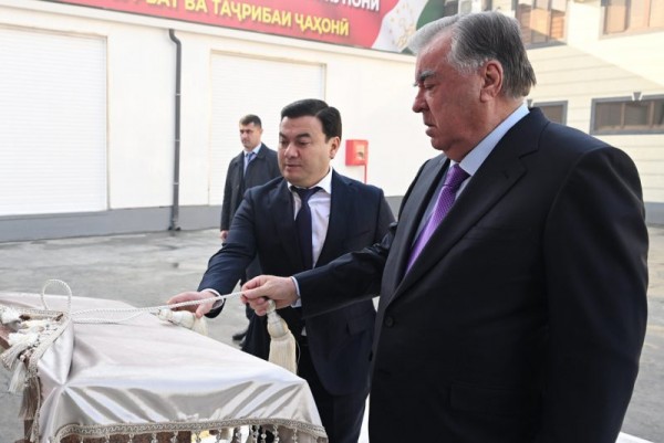 55002917849_a6204dd532_b