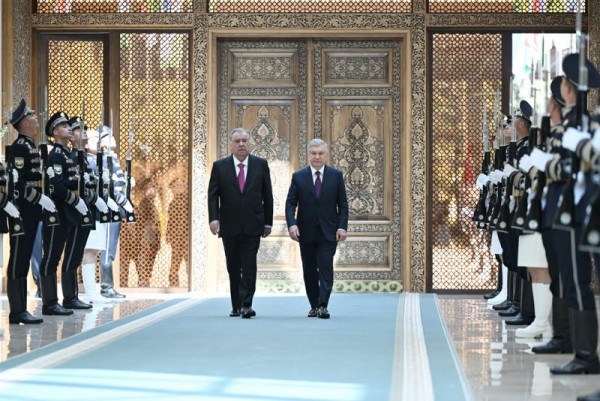 55169609749_46af744622_b