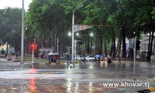 photo_2025-04-17_09-44-05