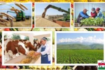 دوشنبه تستضيف لأول مرة المؤتمر الإقليمي الـ35 لمنظمة الأغذية والزراعة