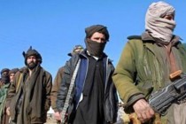 کشته شدن 30 عضو طالبان در عملياتی در ميدان وردک افغانستان