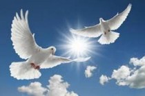 21 سپتامبر روز بین‌المللی صلح، جهانیان مکتب صلح آفری پیشوای ملت تاجیکان امامعلی رحمان را نمونه عبرت می‌دانند