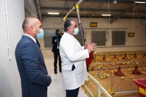 امامعلی رحمان، رئیس جمهور کشورمان در ناحیه باباجان غفوراف کارخانه مرغداری “چوجه بیضا” را افتتاح کردند