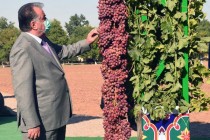 امامعلی رحمان، رئیس جمهوری تاجیکستان از مزارع “فیض دهقان” و “فیض حاجی” شهر حصار بازدید کردند