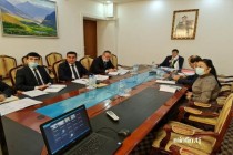 در وزارت دارایی تاجیکستان نمونه امور پروژه های اجرا شده توسط صندوق ثبات و توسعه اورآسیا بررسی شد