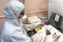 کووید -19. طی 24 ساعت گذشته هیچ مورد جدیدی از ویروس کرونا در تاجیکستان گزارش نشده است