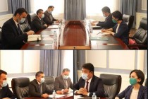 دیدار معاون وزیر امور خارجه تاجیکستان با مدیرکل سازمان امنیت غذایی اسلامی