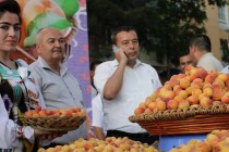 خبرگزاری اسپوتنیک: صادرات سبزیجات، میوه ها و میوه های خشک از تاجیکستان به خارج از کشور افزایش یافته است