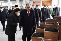 امامعلی رحمان، رئیس جمهور کشورمان کارخانه تولید میخ “نورتز” را مورد بهره برداری قرار دادند