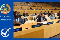 جانیبک حکمت در نشست غیررسمی شورای امنیت سازمان ملل شرکت و سخنرانی کرد