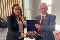 عضو پارلمان تاجیکستان در نشست حفظ حقوق بشر در استانبول شرکت کرد