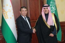 معاون اول رئیس مجلس نمایندگان با رئیس کابینه محاسبات عربستان دیدار و گفتگو کرد