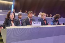 نماینده تاجیکستان در یکصد و چهاردهمین نشست شورای سازمان بین المللی مهاجرت شرکت کرد