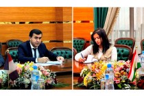 وزیر دارایی تاجیکستان و سفیر فرانسه در خصوص توسعه همکاری ها در زمینه های اقتصادی و تجاری گفتگو کردند