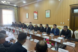 V-Bustone-sostoyalas-vstrecha-rabochih-grupp-pravitelstvennyh-delegatsij-Respubliki-Tadzhikistan-i-Kyrgyzskoj-Respubliki-2