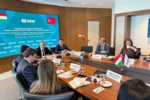 ظرفیت‌های سرمایه‌گذاری تاجیکستان در استانبول معرفی شد