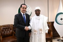 اکرم کریمی با دبیرکل سازمان همکاری اسلامی دیدار و گفتگو کرد