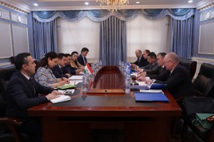 Mulo-oti_muovini_vaziri_kor-oi_hori-_bo_muovini_dabiri_kulli_IDM
