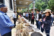 منطقه گردشگری “آرخو” به مکان پسندیده برای گردشگران تبدیل شده است