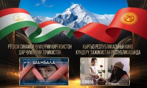 Ruzhoi-sinamoi-Kirgiziston-