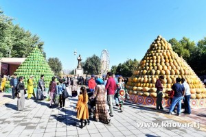 mehrgon-CTX_7843